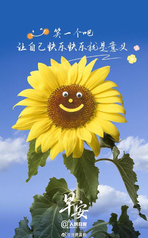 微笑面对生活的励志句子 第1张 微笑面对生活的励志句子 第1张