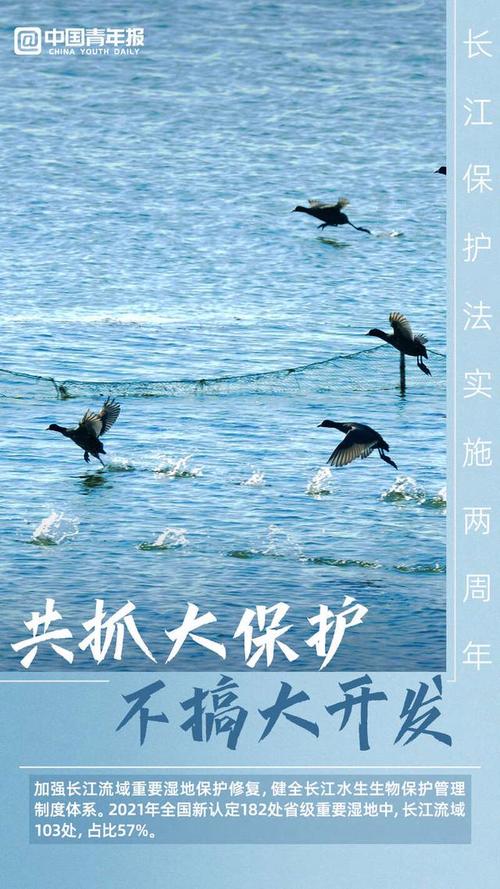 每日一词∣长江保护法 Yangtze River Protection Law 第1张 每日一词∣长江保护法 Yangtze River Protection Law 第1张