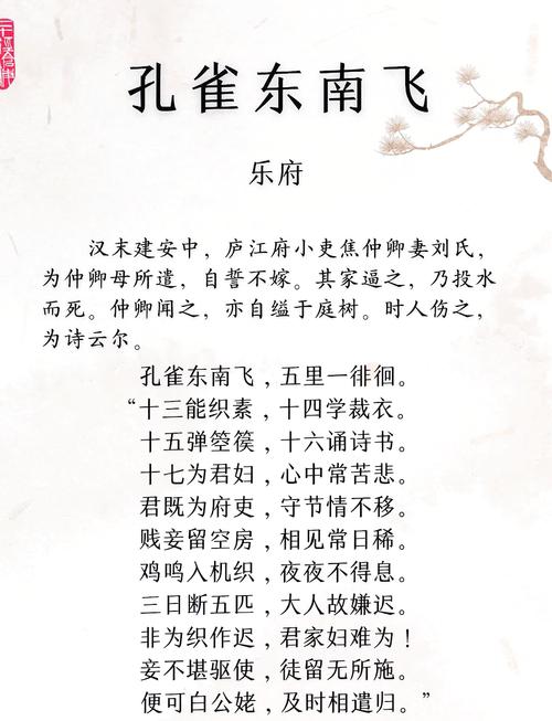 散文 | 放生鸟雀积善福(每小平) 第1张 散文 | 放生鸟雀积善福(每小平) 第1张