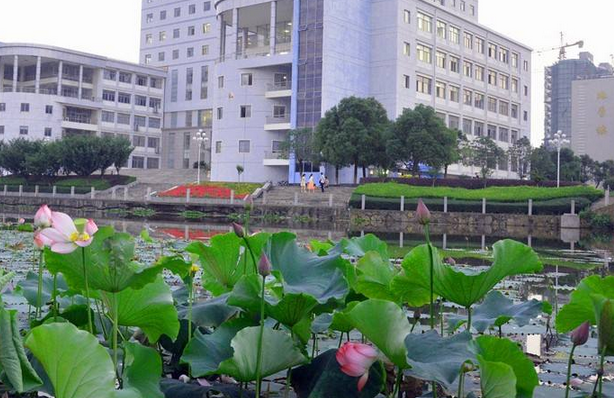 河池学院各专业在湖北招生人数、录取分数线2026(附:招生计划表) 第1张 河池学院各专业在湖北招生人数、录取分数线2026(附:招生计划表) 第1张