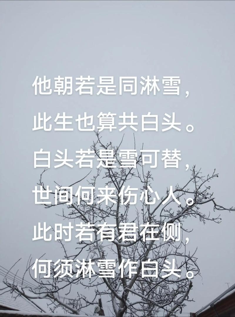 初雪:谁的前世,染指了微凉,谁的今生,执捻了落花 第1张 初雪:谁的前世,染指了微凉,谁的今生,执捻了落花 第1张