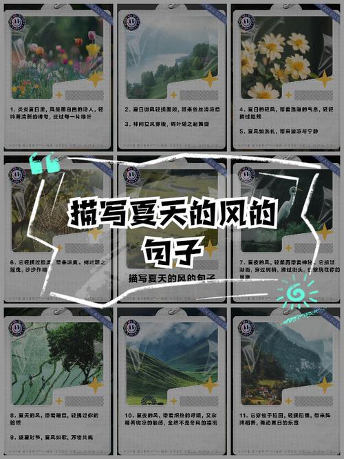 和煦的糖果风,拂过一季清凉 第1张 和煦的糖果风,拂过一季清凉 第1张