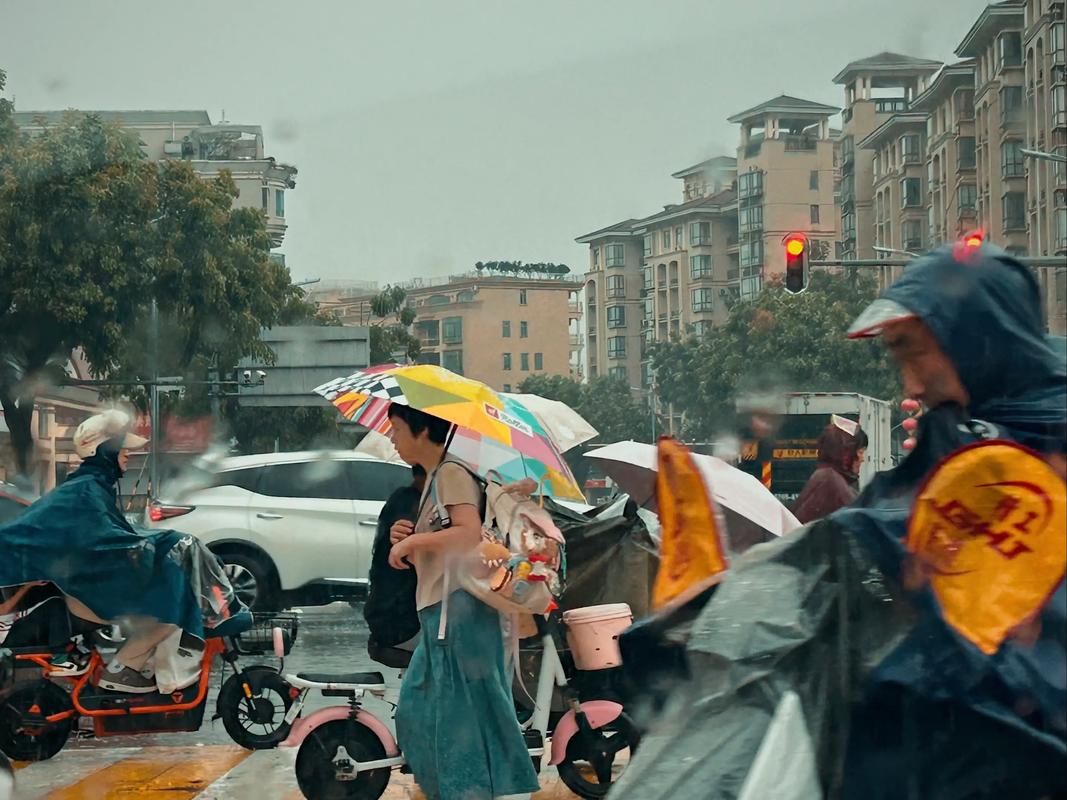 能欣赏不一样的风景，雨中劳作也一样心情好工作顺  第1张