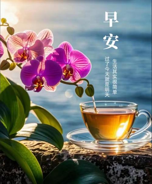 时光静好,我喝的是茶,品着的是女儿弹钢琴的声音 第1张 时光静好,我喝的是茶,品着的是女儿弹钢琴的声音 第1张