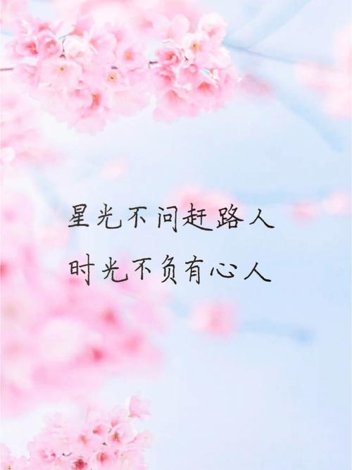 励志正能量文案｜星光不问赶路人，时光不负有心人  第1张