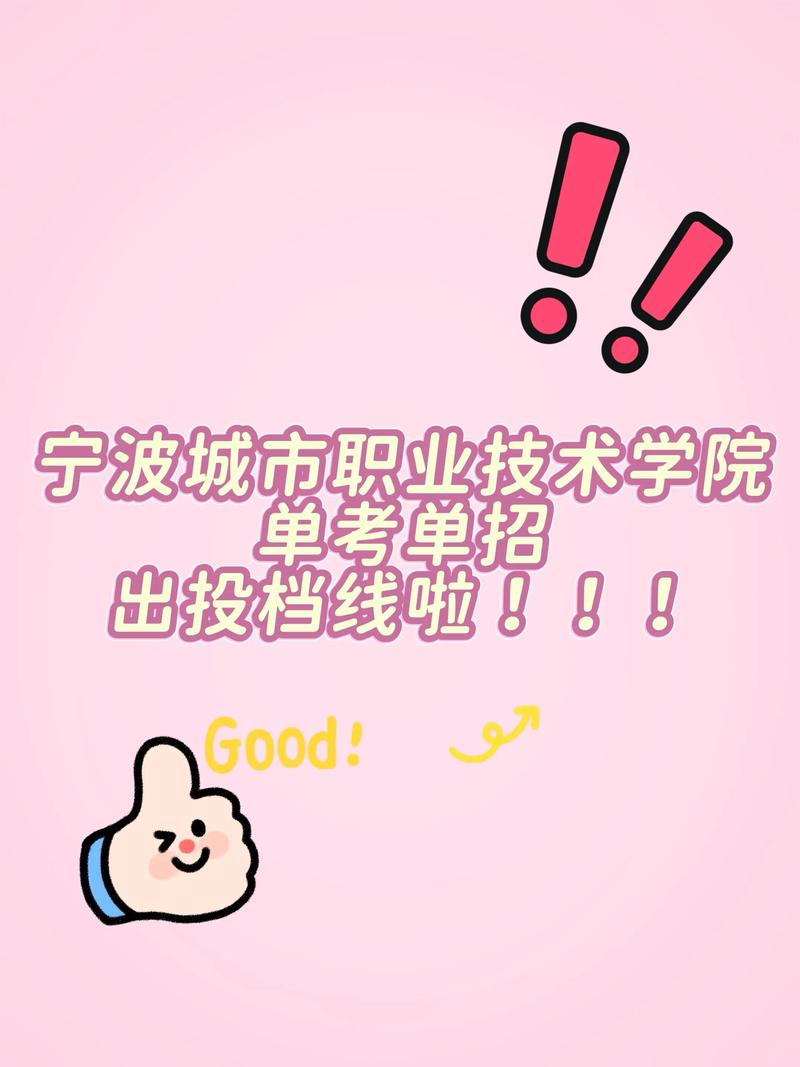 宁波城市职业技术学院各专业在湖南招生人数、录取分数线2026(附:招生计划表) 第1张 宁波城市职业技术学院各专业在湖南招生人数、录取分数线2026(附:招生计划表) 第1张