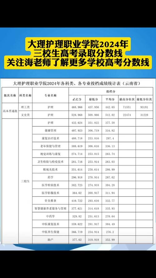 2026广东考多少分能上大理大学（附2022-2025录取分数线）  第1张