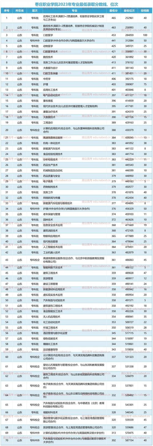 枣庄职业学院在广西录取分数线2025年是多少(2025~2023近三年分数位次) 第1张 枣庄职业学院在广西录取分数线2025年是多少(2025~2023近三年分数位次) 第1张