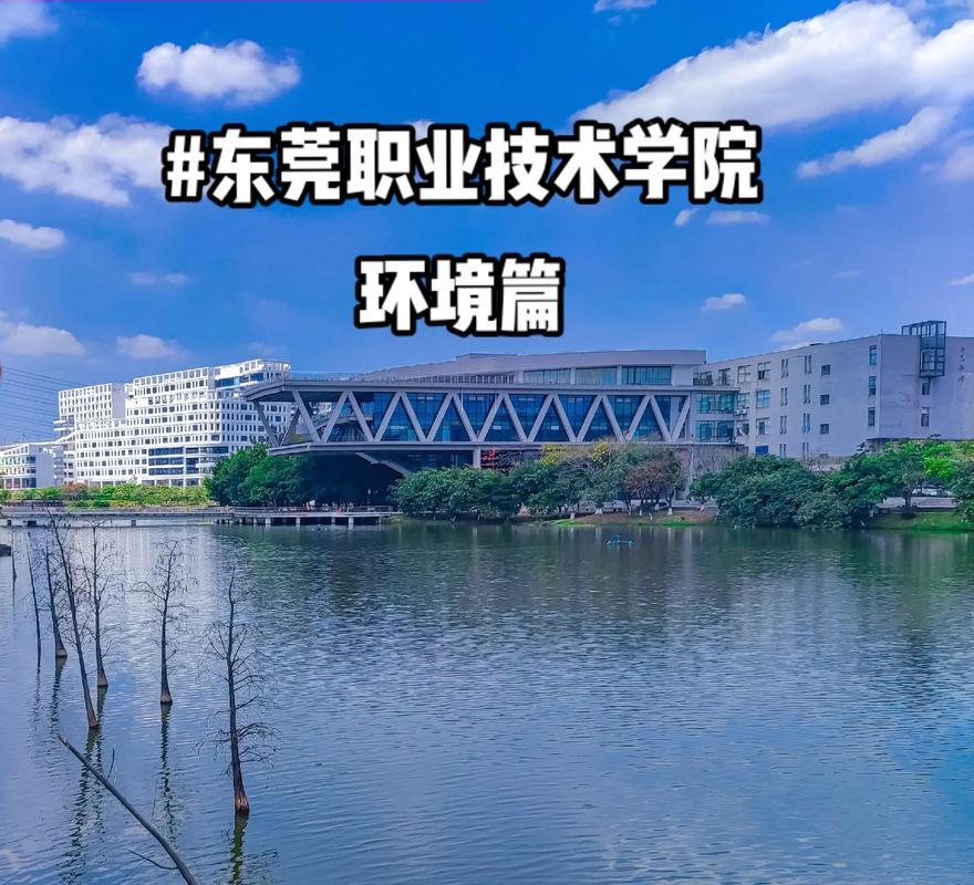 2025东莞职业技术学院录取分数线是多少「在各省录取最低分」 第1张 2025东莞职业技术学院录取分数线是多少「在各省录取最低分」 第1张