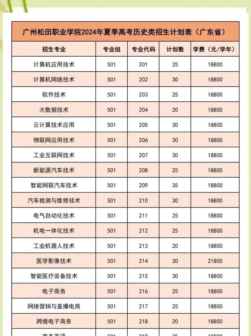 广州松田职业学院录取分数线2025是多少分「在各省录取最低分」 第1张 广州松田职业学院录取分数线2025是多少分「在各省录取最低分」 第1张