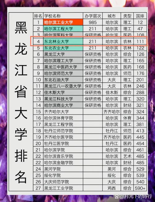 哈尔滨有哪些大学?哈尔滨的大学排名2026最新「附分数线」 第1张 哈尔滨有哪些大学?哈尔滨的大学排名2026最新「附分数线」 第1张
