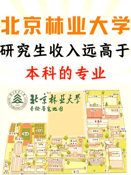北京林业大学数据科学与大数据技术专业排名怎么样？好不好  第1张