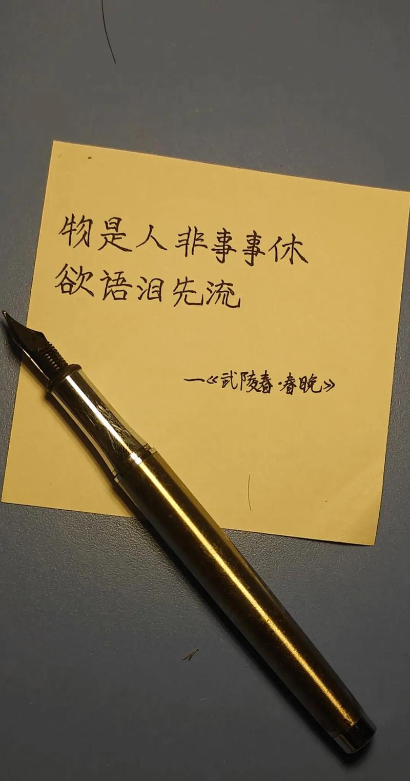 物是人非,感慨苍白 第1张 物是人非,感慨苍白 第1张