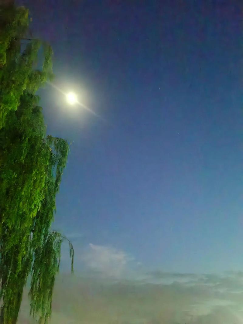 静夜,思绪在月色下缱绻,在文字里缠绵 第1张 静夜,思绪在月色下缱绻,在文字里缠绵 第1张