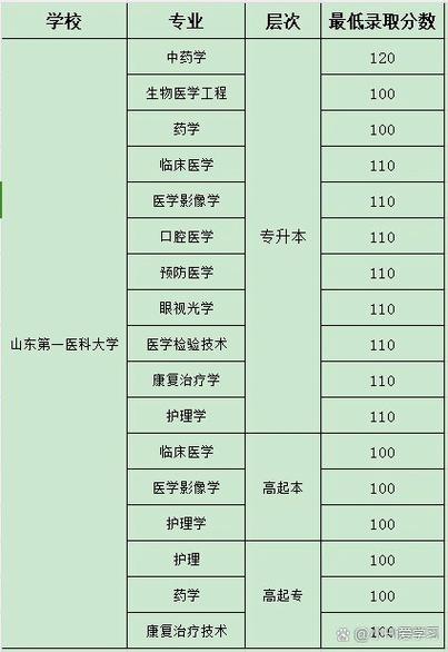 山东第一医科大学2025年在四川录取分数线是多少(2025~2023近三年分数位次) 第1张 山东第一医科大学2025年在四川录取分数线是多少(2025~2023近三年分数位次) 第1张