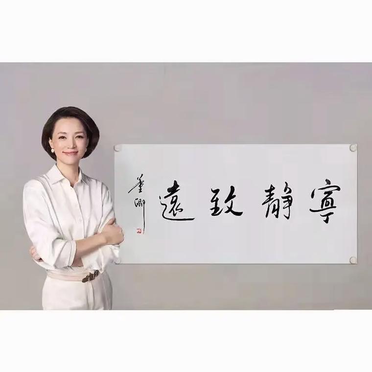 董卿:虽然日月不停更替,但生活却焕然一新 第1张 董卿:虽然日月不停更替,但生活却焕然一新 第1张
