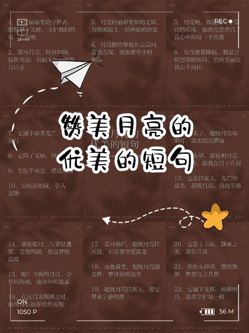 关于月亮的名人名言 第1张 关于月亮的名人名言 第1张