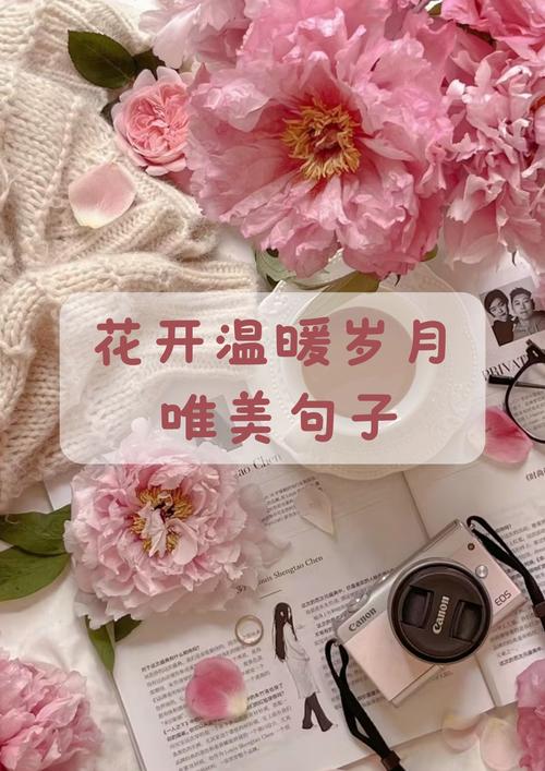 赏花的朋友圈怎么发 晒花草唯美说说句子推荐 第1张 赏花的朋友圈怎么发 晒花草唯美说说句子推荐 第1张