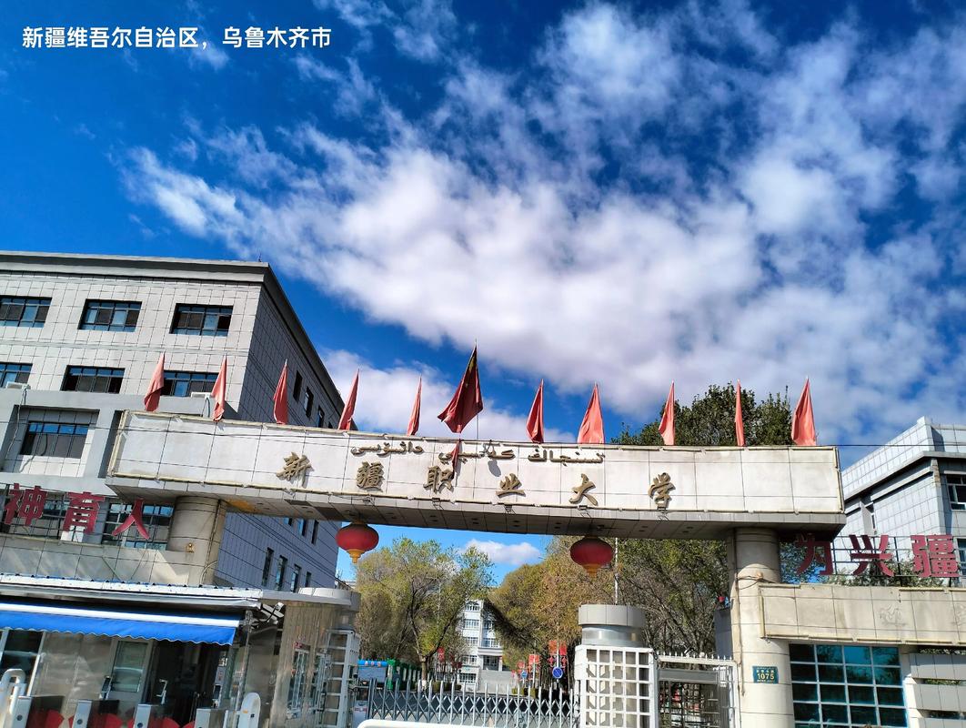 新疆有哪些职业技术学院 第1张 新疆有哪些职业技术学院 第1张