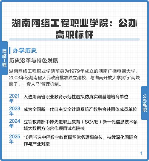 湖南网络工程职业学院录取分数线2025(在各省录取最低分是多少) 第1张 湖南网络工程职业学院录取分数线2025(在各省录取最低分是多少) 第1张