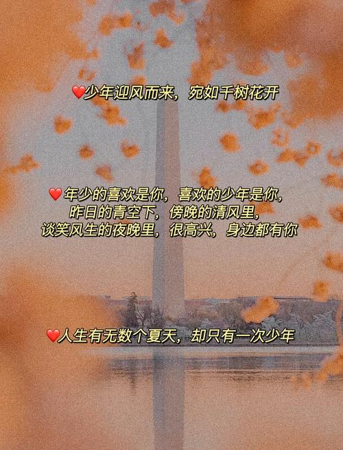文案:我的青春语录 第1张 文案:我的青春语录 第1张