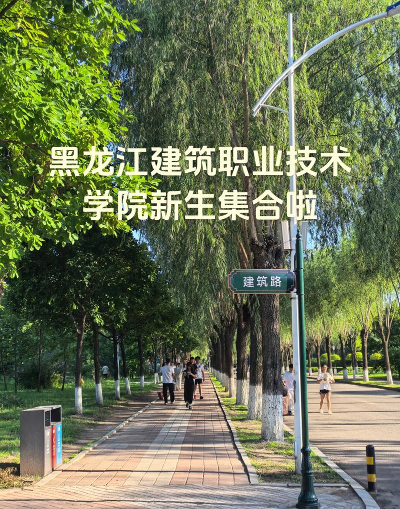 黑龙江建筑职业技术学院在哪个城市(详细地址_电话) 第1张 黑龙江建筑职业技术学院在哪个城市(详细地址_电话) 第1张