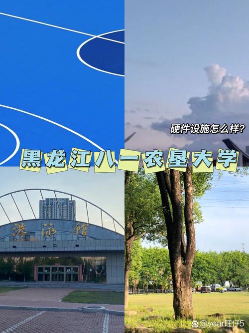 黑龙江八一农垦大学是985还是211  第1张