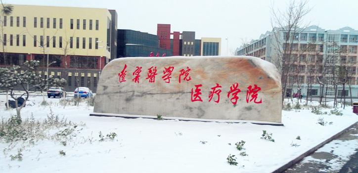 锦州医科大学医疗学院是公办还是民办大学？学费多少  第1张