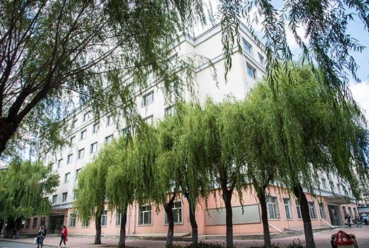 黑龙江旅游职业技术学院各专业录取分数线2025是多少分「录取最低分」 第1张 黑龙江旅游职业技术学院各专业录取分数线2025是多少分「录取最低分」 第1张