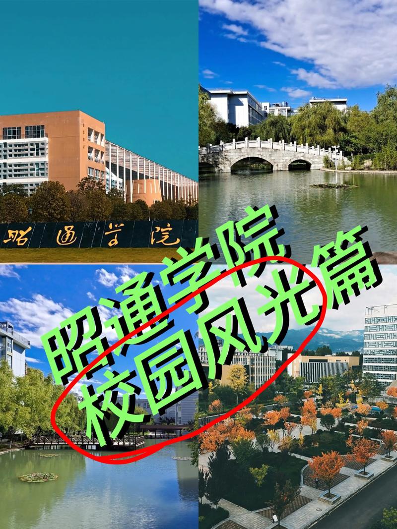 昭通有哪些职业技术学院 第1张 昭通有哪些职业技术学院 第1张