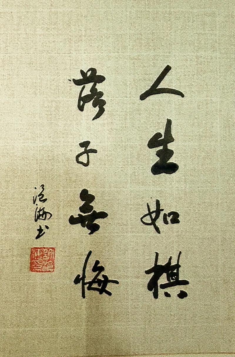人生如棋不是棋 第1张 人生如棋不是棋 第1张