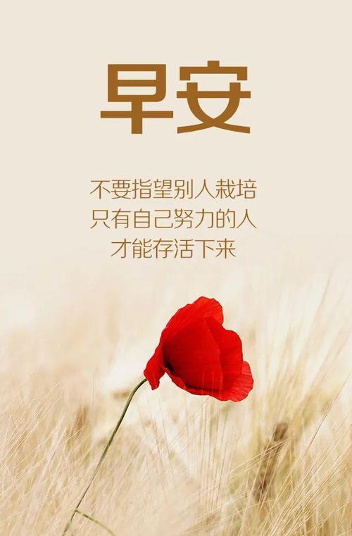 微信早晨最精辟的励志语录精选，总有一句激励你前行  第1张