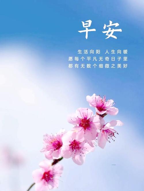 微信早上好充满正能量的经典励志语录 第1张 微信早上好充满正能量的经典励志语录 第1张