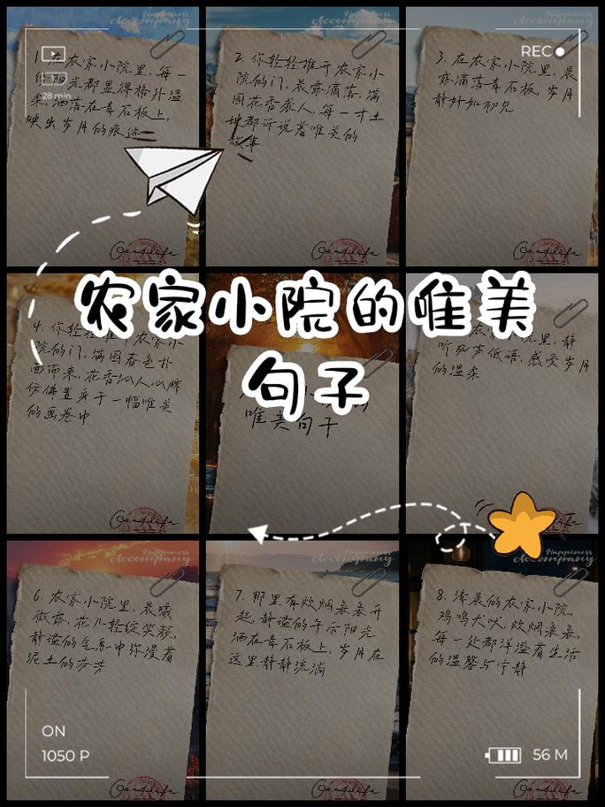 自家小院惬意的句子:小院静谧宜人,远离尘嚣的惬意天地 第1张 自家小院惬意的句子:小院静谧宜人,远离尘嚣的惬意天地 第1张