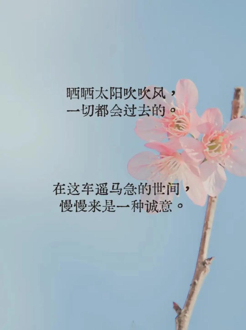 朋友圈积极向上的说说短句,阳光正能量,值得分享 第1张 朋友圈积极向上的说说短句,阳光正能量,值得分享 第1张