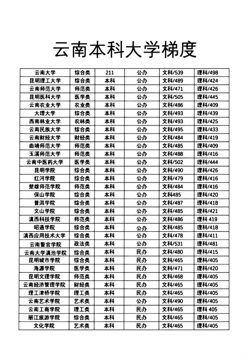 云南高考物理类排名124000-125000位次能上什么大学（2026）  第1张