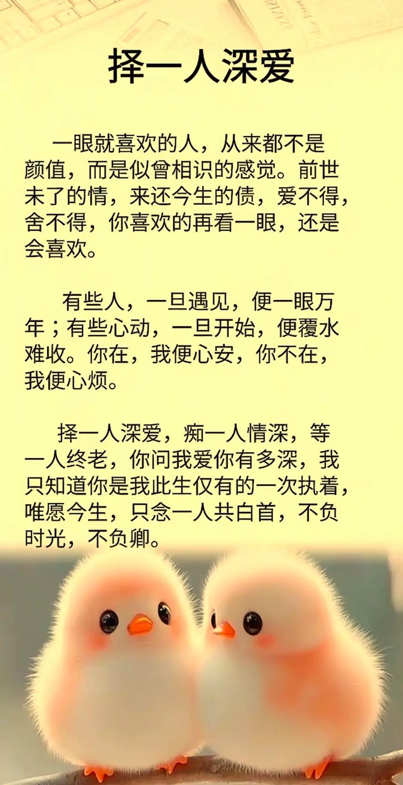最走心的情感经典句子，直击人心，让人受用一生  第1张