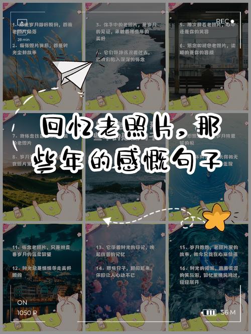 那些年我们用过的非主流经典语录  第1张
