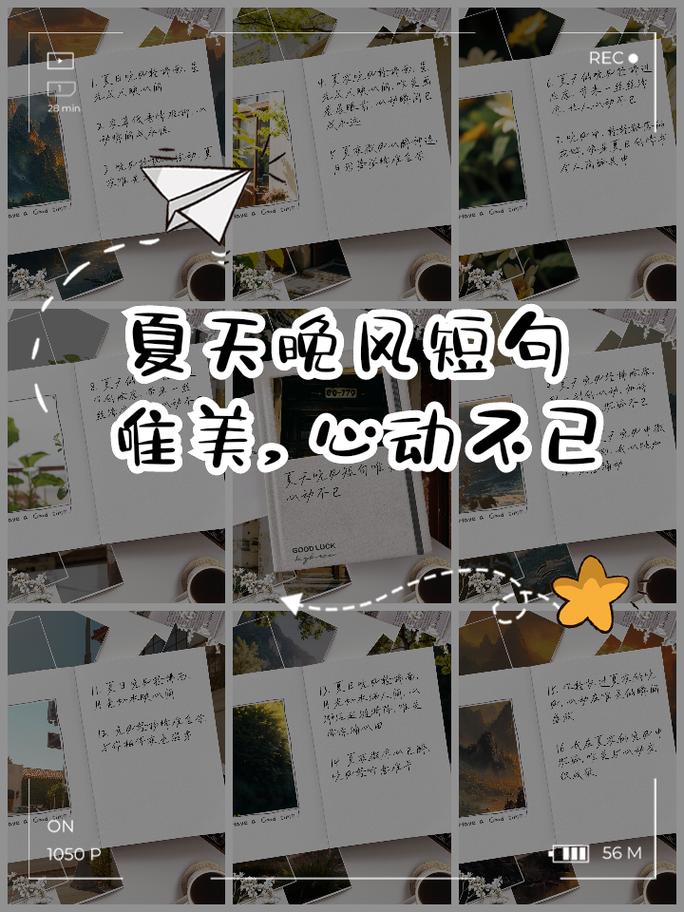 13个浪漫小句子,温柔了整个夏天 第1张 13个浪漫小句子,温柔了整个夏天 第1张