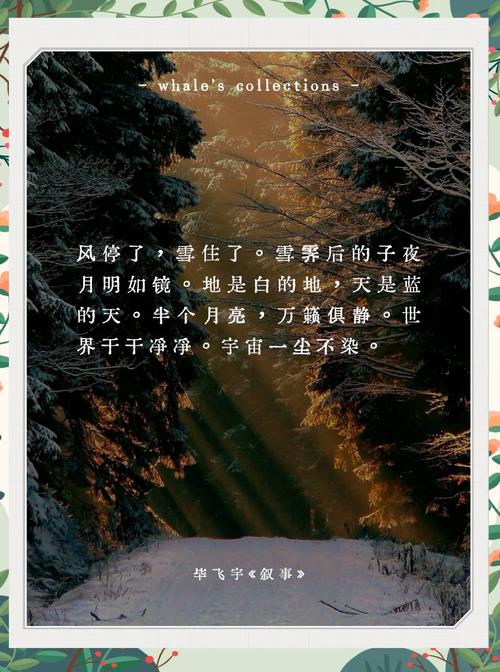 100句雪诗词,遇见最美冬天 第1张 100句雪诗词,遇见最美冬天 第1张