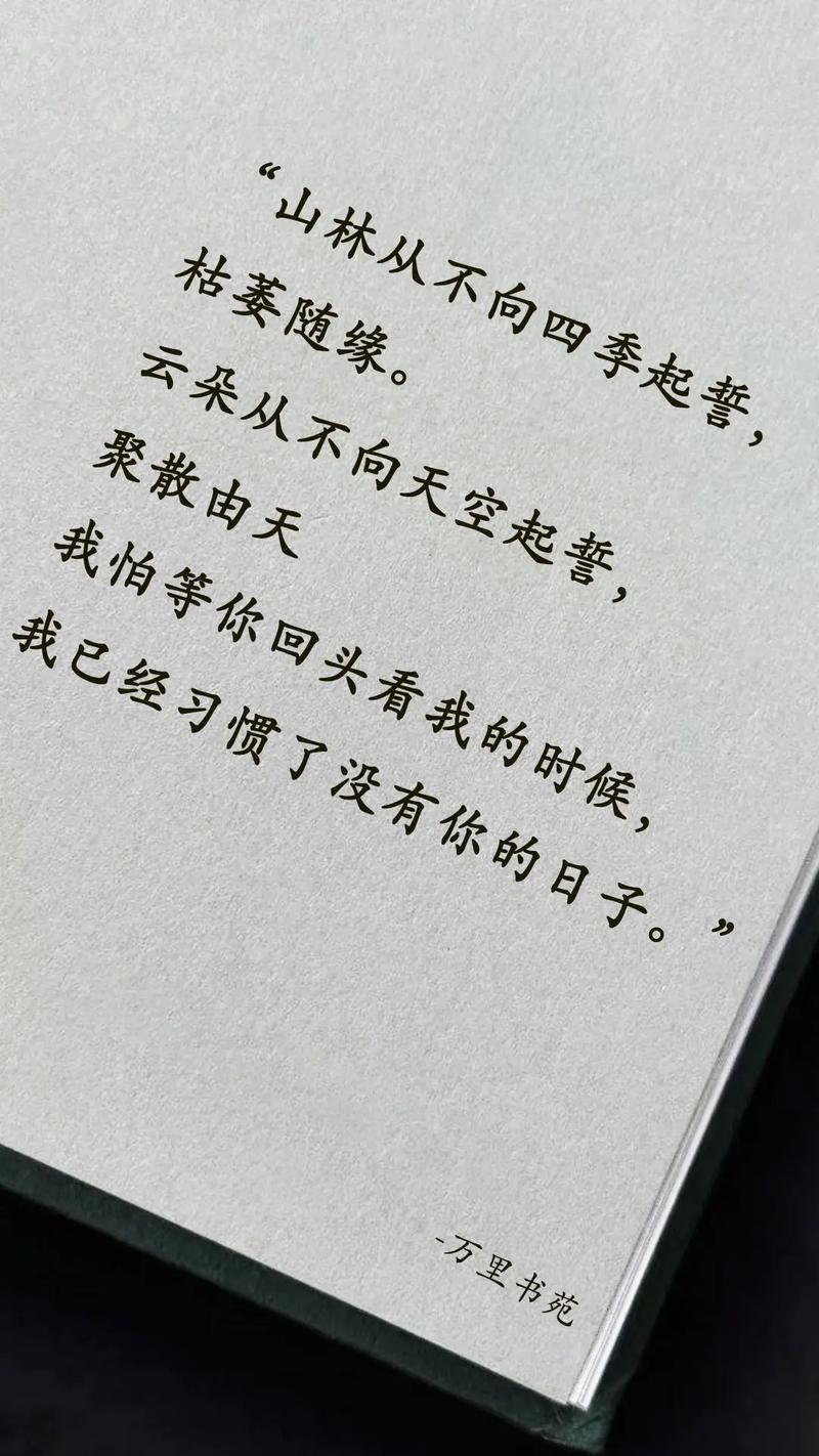 没有你的日子，我攒了太多的话语  第1张