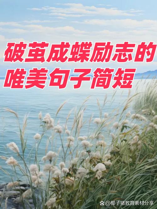 超级有道理人生语录文案:相信自己,你能作茧自缚,就能破茧成蝶 第1张 超级有道理人生语录文案:相信自己,你能作茧自缚,就能破茧成蝶 第1张