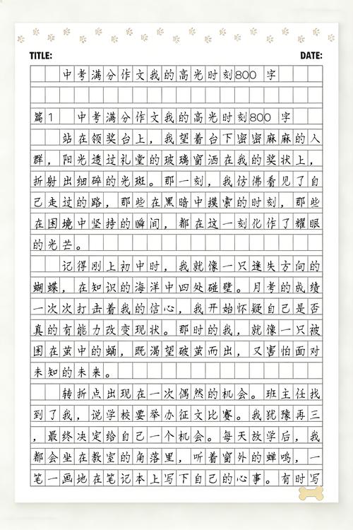 中考满分作文800字精选24篇  第1张