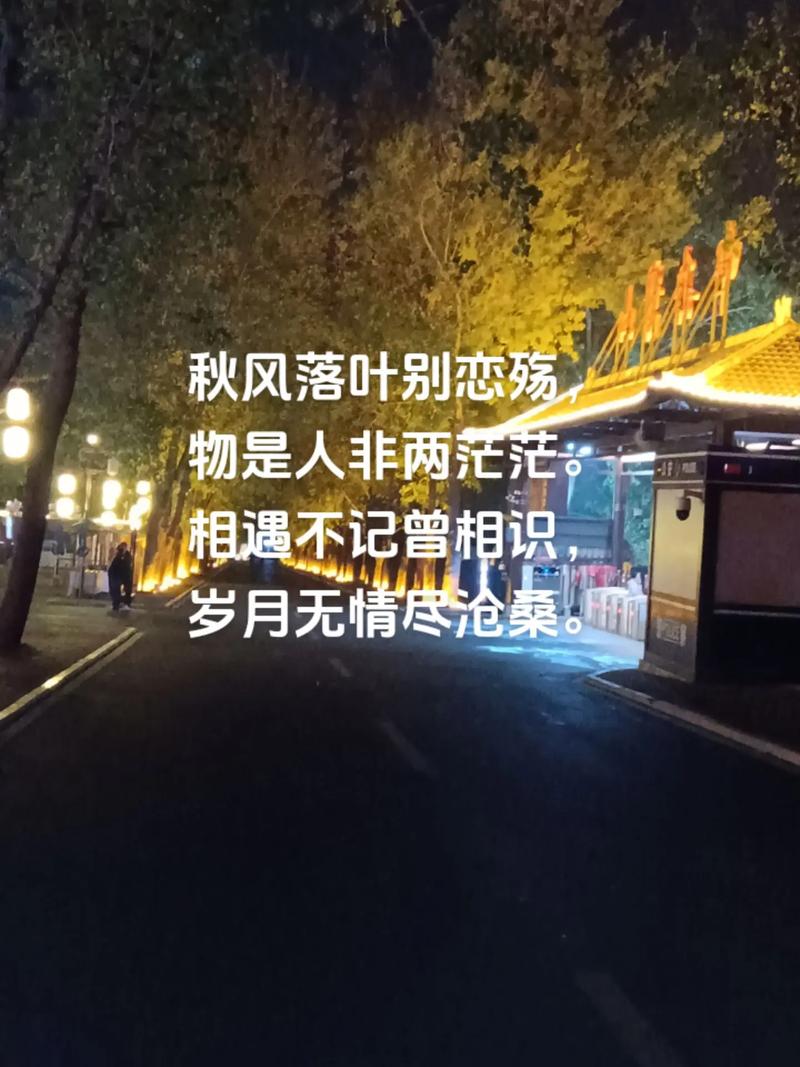 秋末冬初时节，深情地想你  第1张