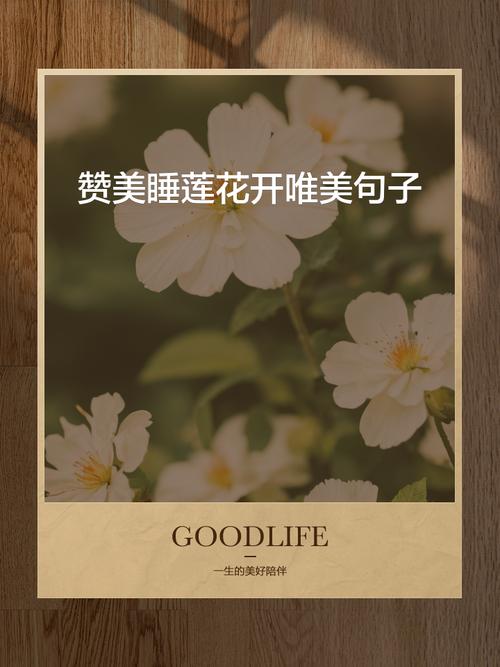赞美花的句子唯美短句，分享给你  第1张