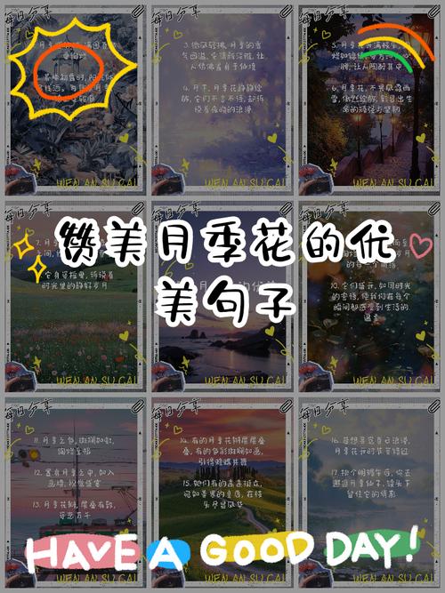 花的心情短语花很美的说说句子  第1张