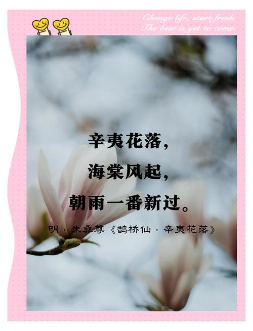 60句优美的古诗词，一字一句，让你如沐春风，让你觉得岁月静好  第1张