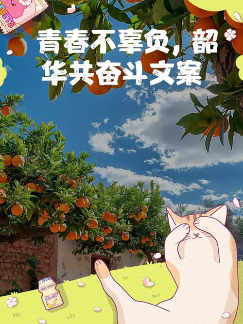 青年微创业｜致青春创未来：初心不改，以梦为马，不负韶华  第1张