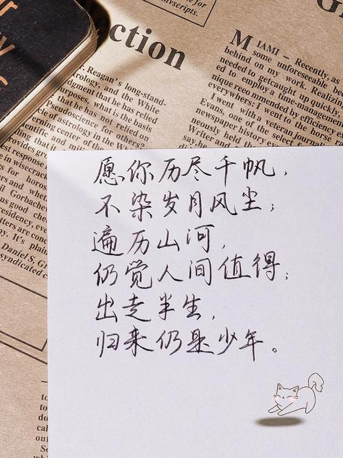 小董老师经典语录，愿你一切皆好。愿你历尽千帆，归来仍是...  第1张