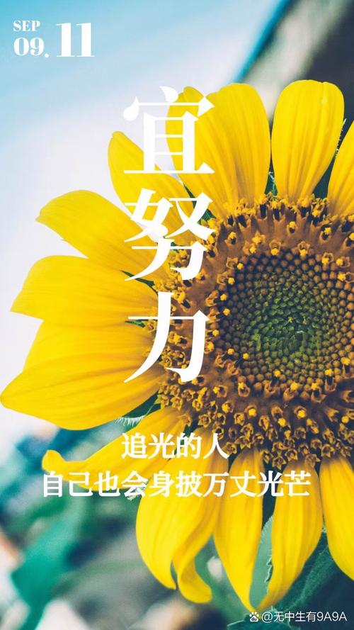 关于激励人的经典句子，迎着阳光，一路向前！  第1张